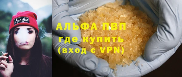прущие грибы Карпинск