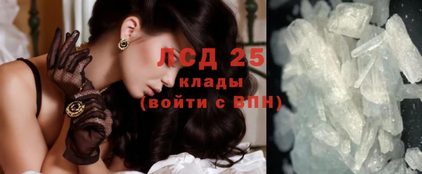 прущие грибы Карпинск