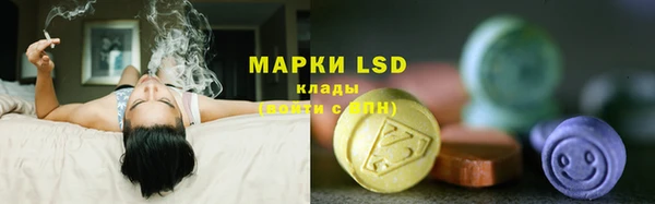 метадон Касимов