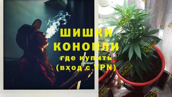стафф Карталы