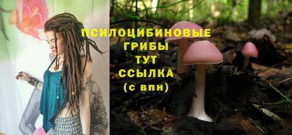 прущие грибы Карпинск