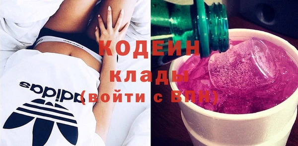 прущие грибы Карпинск
