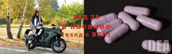 прущие грибы Карпинск