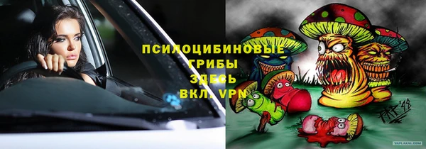 прущие грибы Карпинск