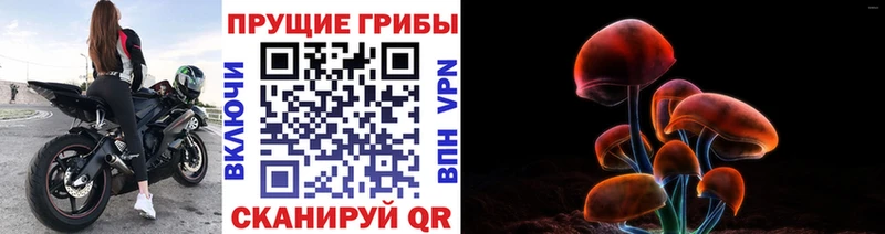 Купить  Поронайск  Галлюциногенные грибы мухоморы 